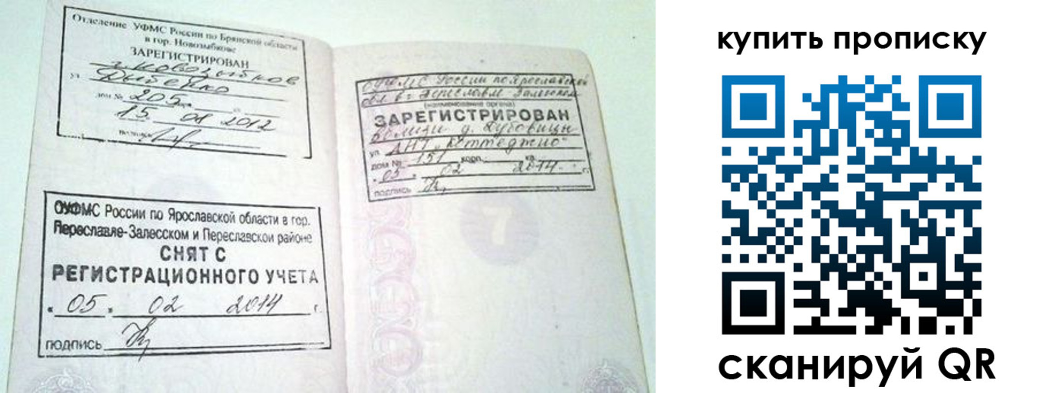 прописка ребенка в Мончегорске